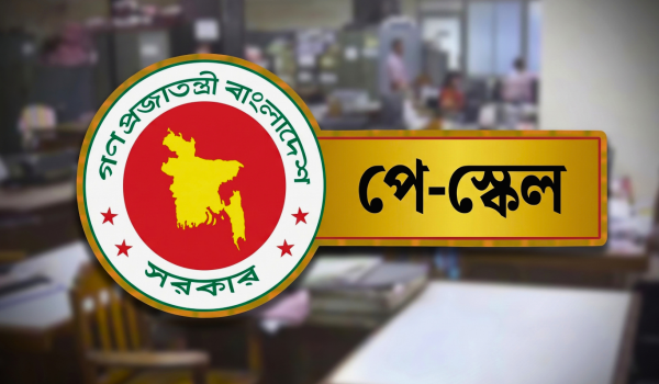 জাতীয় পে-স্কেল ২০২৬: রাষ্ট্রায়ত্ত ব্যাংক ও স্বশাসিত প্রতিষ্ঠানগুলোতে কার্যকরের নির্দেশ Images 10000 02